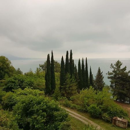 Гостевой Дом Мимоза Gagra Buitenkant foto