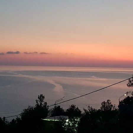 Гостевой Дом Мимоза Gagra Buitenkant foto
