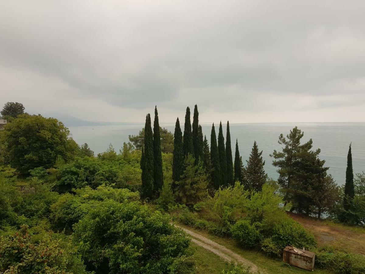 Гостевой Дом Мимоза Gagra Buitenkant foto