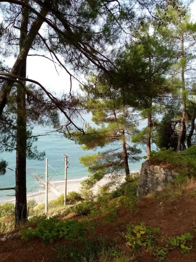Гостевой Дом Мимоза Gagra Buitenkant foto