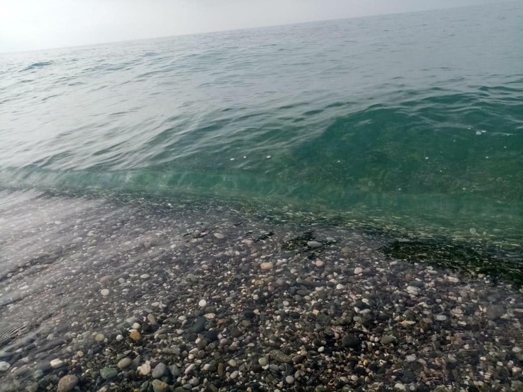 Гостевой Дом Мимоза Gagra Buitenkant foto